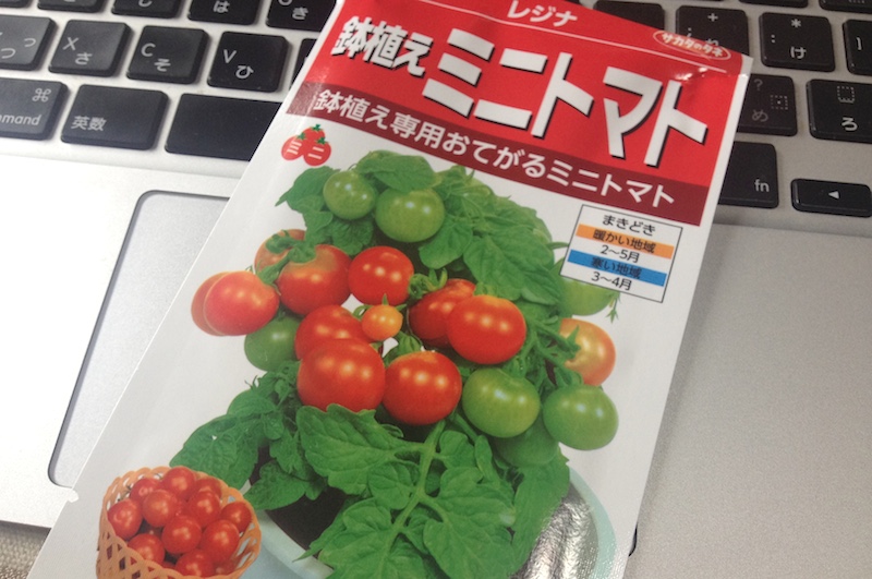 プチトマト栽培 ペットボトルでも育てられるレジナの栽培記録 トドログ