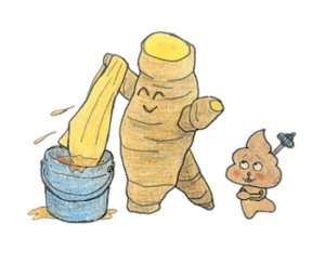 ウコン染めイラスト